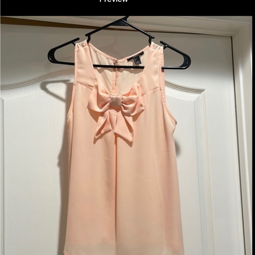 🎀Forever 21 Sheer blush top 🎀